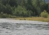 DSC08226.JPG