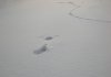 DSCN2342.JPG