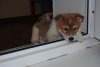 DSC_0401.JPG