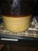 IMG_20200312_202920.jpg