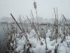 SAVE_20200322_132917.jpg