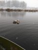 SAVE_20200322_132938.jpg