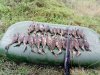 IMG_20190907_100614.jpg