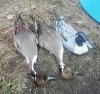 IMG_20200128_105211.jpg