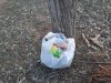 IMG-20200402-WA0000.jpg