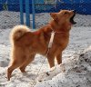20200403_094055.jpg