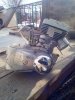IMG-20200408-WA0009.jpg