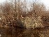 2016-05-57e88c767c675ff709d68a6a723b1477__rsf-500-375.jpg