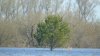 DSC02773.JPG