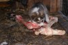 IMG_20200427_071038.jpg