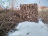 IMG-20200328-WA0065.jpg