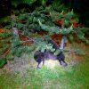 20200604_020257.jpg