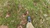 20200607_111606.jpg