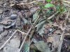 20200607_140941.jpg