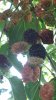 20200620_113132.jpg