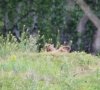IMG_20200621_194032.jpg