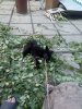 IMG_20200628_173244.jpg