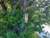 IMG-20200710-WA0008.jpg