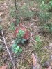 12A50FDF-DDBC-4D1B-97B2-E052E6DED021.jpeg