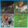 photostudio_1595679300738.jpg
