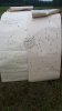 20200802_102550.jpg