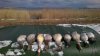 WP_20161023_12_21_32_Pro.jpg