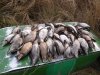 SDC14198_новый размер.JPG
