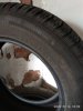 IMG_20200816_183921.jpg