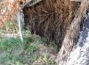 IMG_20200801_141530.jpg