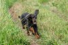 DSC_0072.jpg
