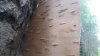 20200711_132209.jpg