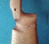 Фото0875.jpg