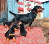 Копия _DSC0624.jpg
