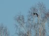 DSCN3906.JPG