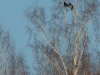 DSCN3908.JPG