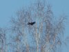 DSCN3914.JPG