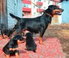 _DSC0624.jpg