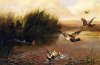 ArthurFitzwilliamTait-DuckShooting.jpg