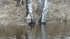 DSCN2501.jpg