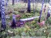 PTDC0034 1.jpg