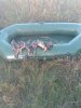 IMG_20200829_065036.jpg