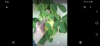 Screenshot_20200903140444.png