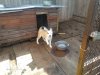 IMG-20200902-WA0000.jpg