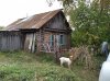 IMG_20200906_101518_1.jpg