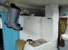 IMG_20200906_162806.jpg