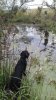 20200912_185033.jpg