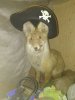 IMG_20201003_100414.jpg