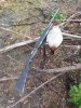 IMG_20201003_144151.jpg