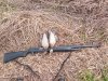 IMG_20201003_121442.jpg