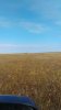 IMG_20201003_113446.jpg